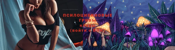марки nbome Аркадак