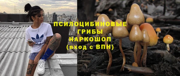 тгк Армянск