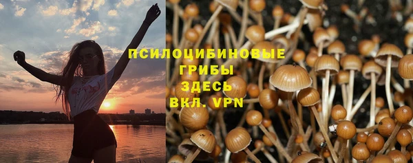 марки nbome Аркадак